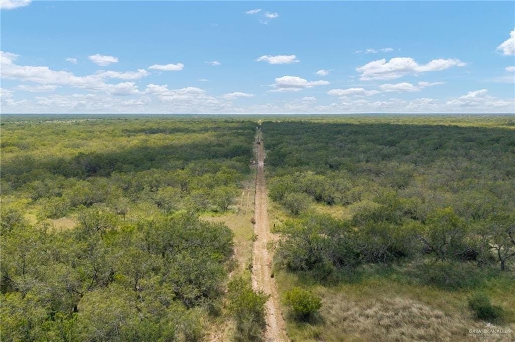 183 acres in Hidalgo County - photo 15