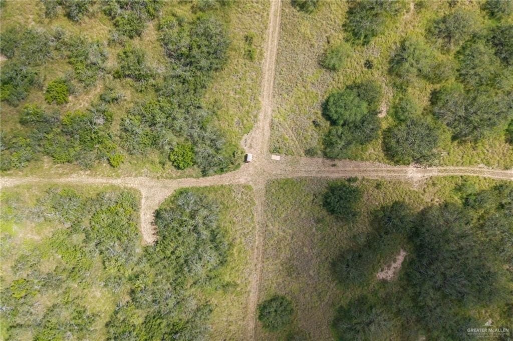 183 acres in Hidalgo County - photo 10