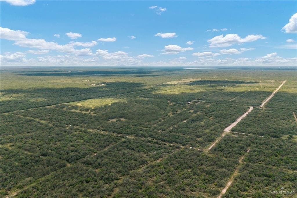 183 acres in Hidalgo County - photo 19