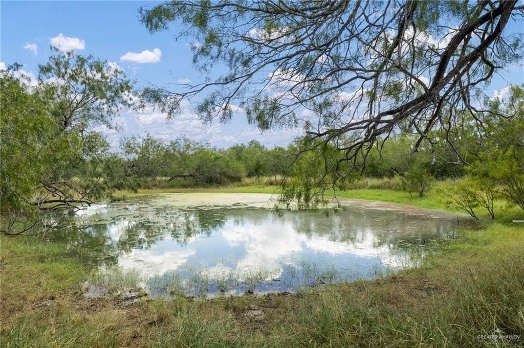 183 acres in Hidalgo County - photo 7