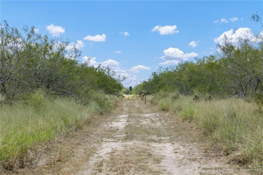 183 acres in Hidalgo County - photo 14