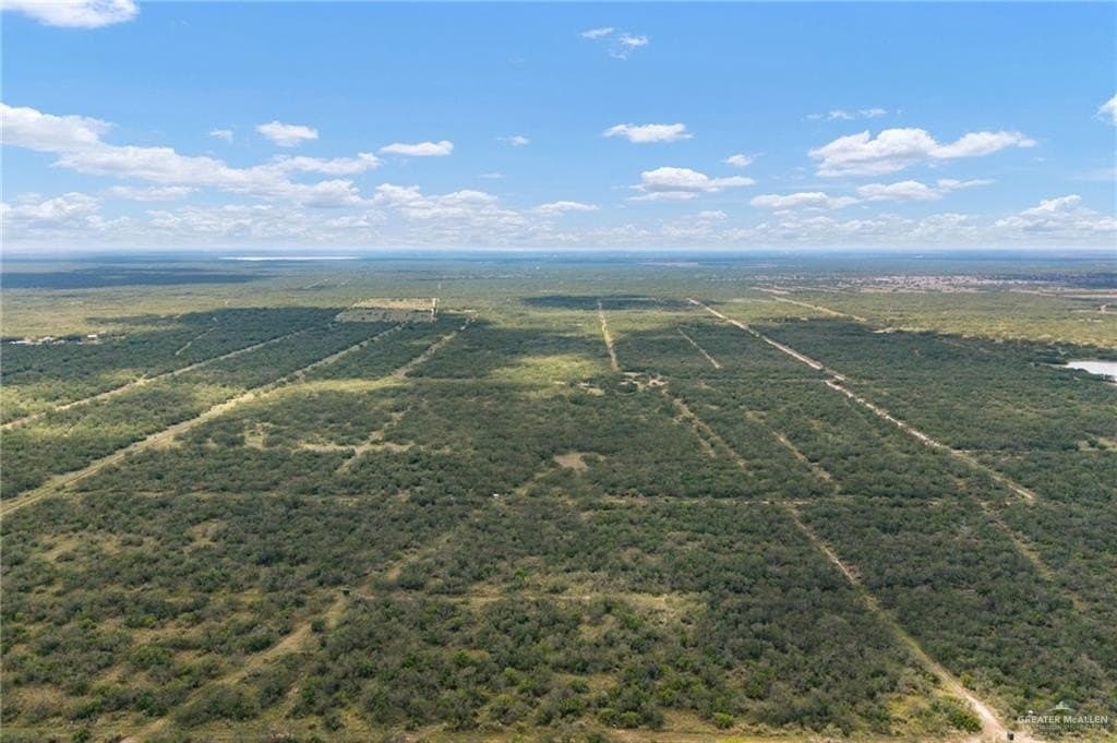 183 acres in Hidalgo County - photo 21