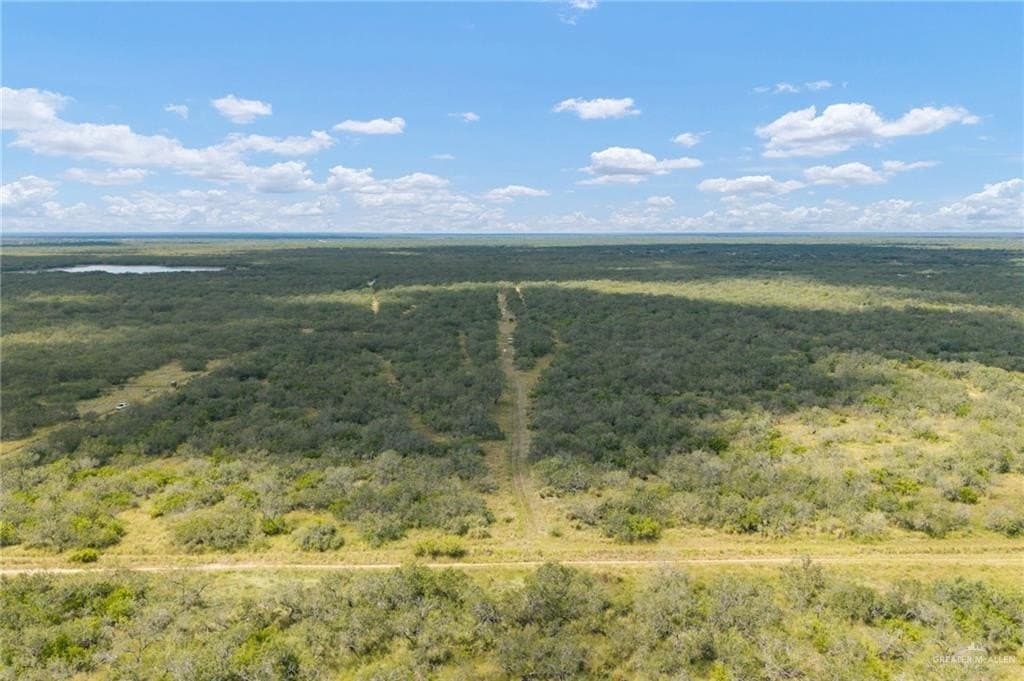 183 acres in Hidalgo County - photo 18