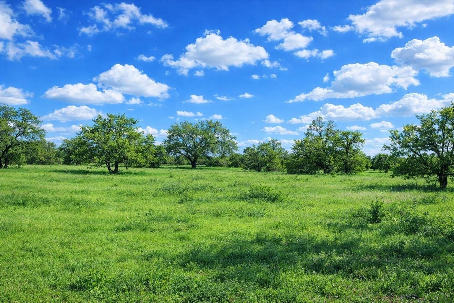 6.3 acres in Burnet County gallery image 4