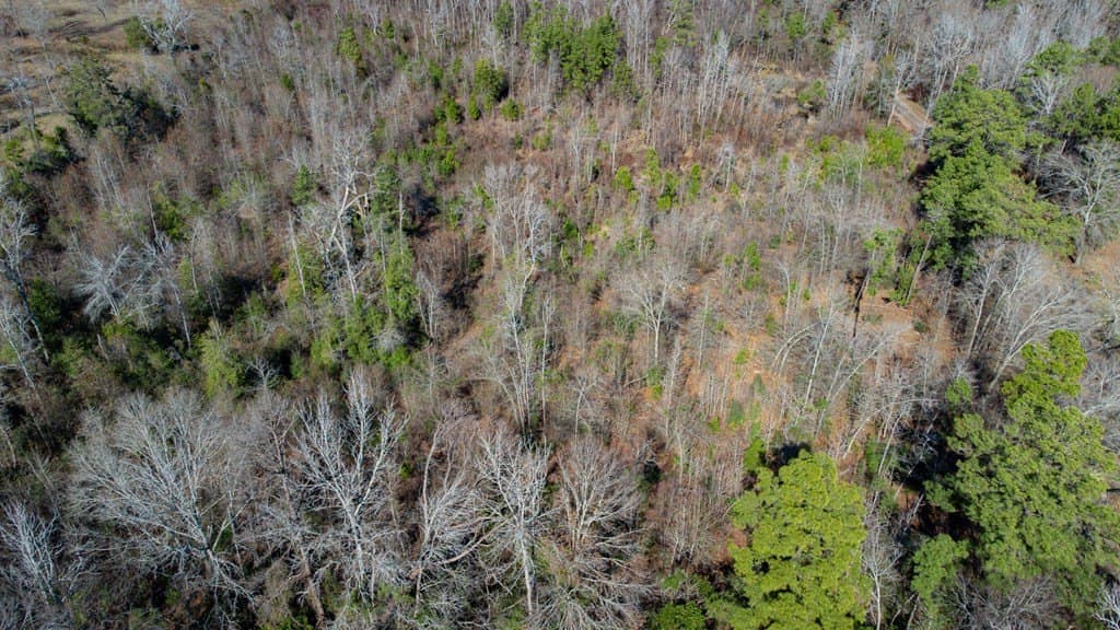 5.03 acres in Cherokee County - photo 23