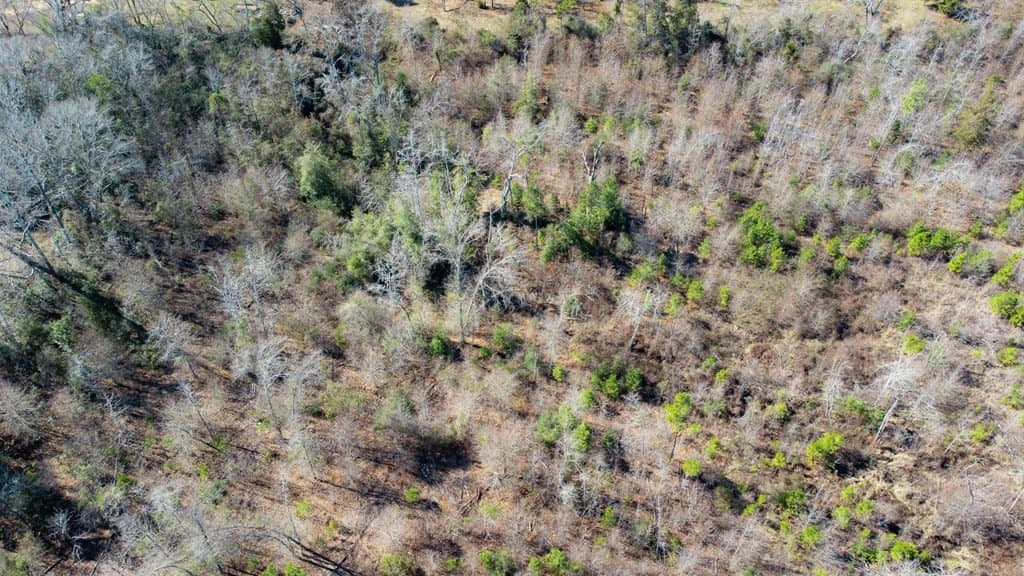 5.03 acres in Cherokee County - photo 21