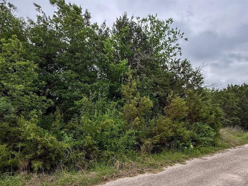 0.03 acres in Hood County gallery image 4