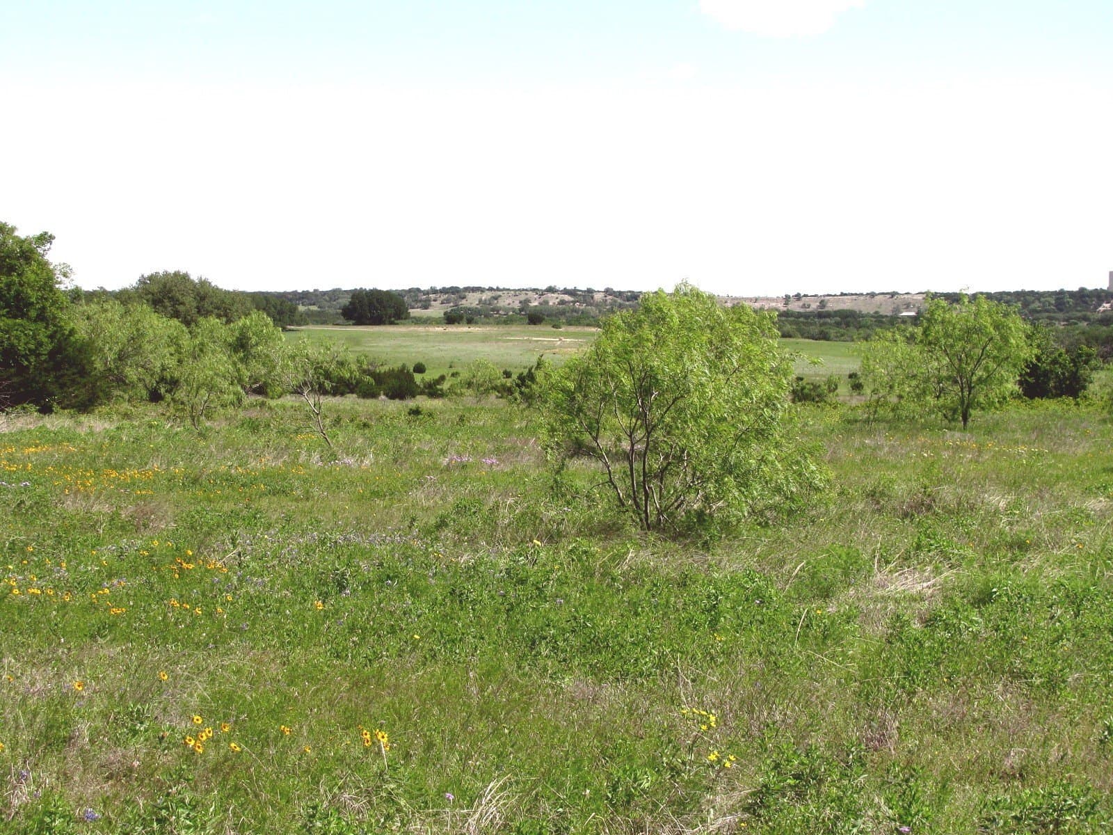58.51 acres in Coryell County - photo 21