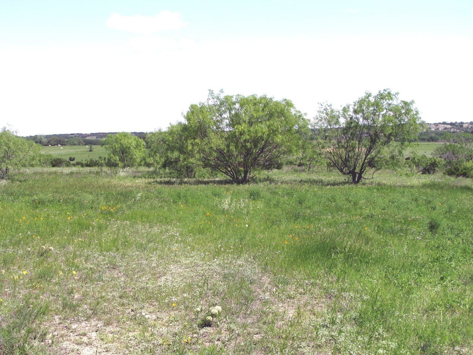58.51 acres in Coryell County - photo 23
