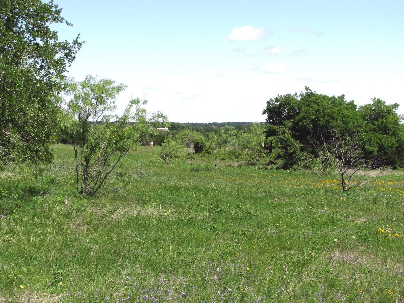 58.51 acres in Coryell County - photo 20