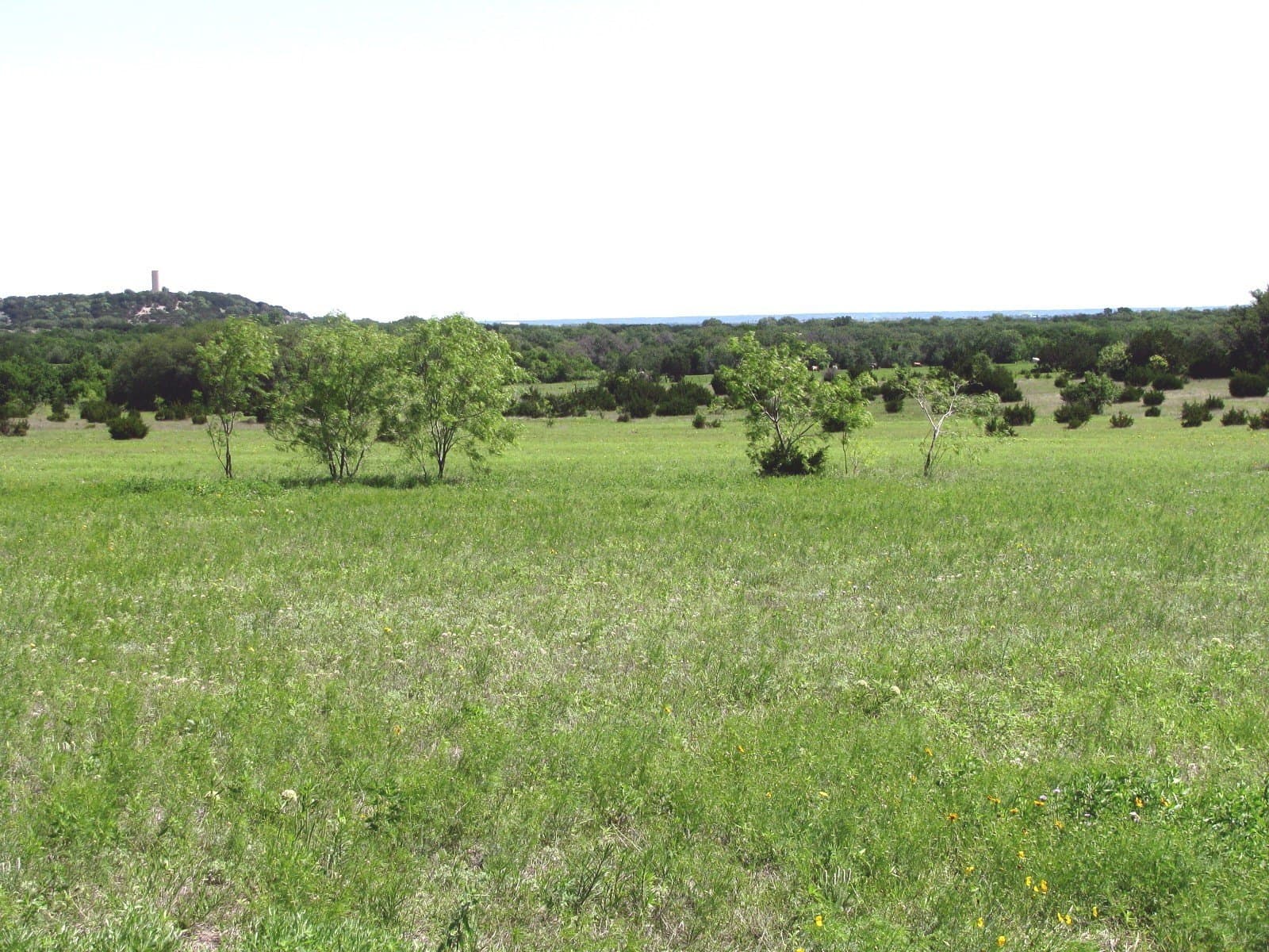 58.51 acres in Coryell County - photo 22