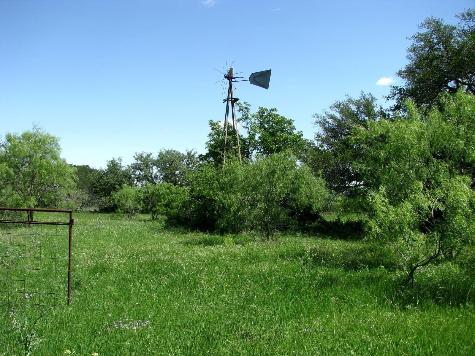 58.51 acres in Coryell County - photo 7