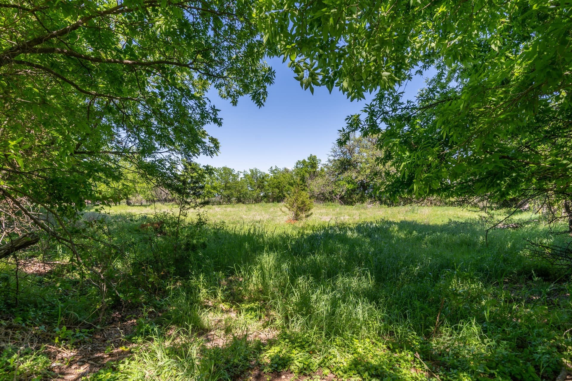 58.51 acres in Coryell County - photo 18