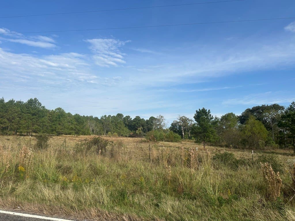 9 acres in Texas County - photo 6