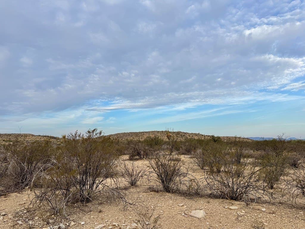 40 acres in Brewster County - photo 8