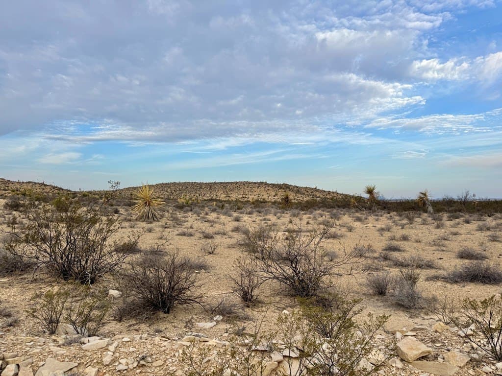 40 acres in Brewster County - photo 9