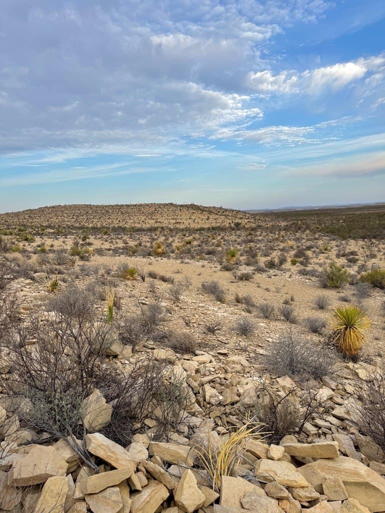 40 acres in Brewster County - photo 11