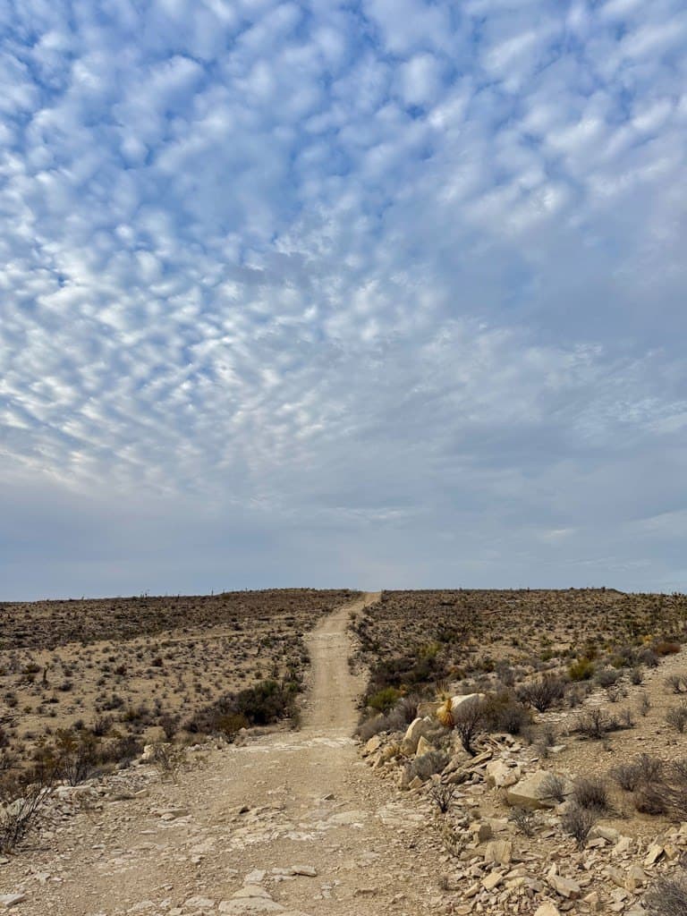 40 acres in Brewster County - photo 12