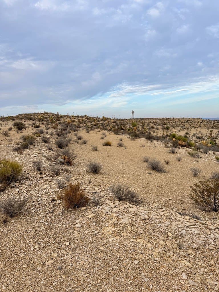 40 acres in Brewster County - photo 13