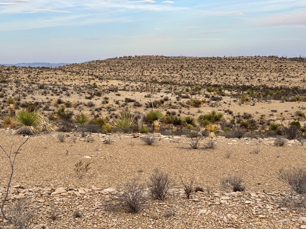 40 acres in Brewster County - photo 18