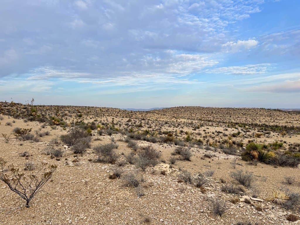 40 acres in Brewster County - photo 16