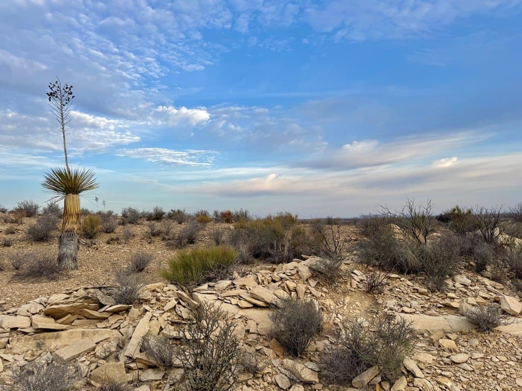 40 acres in Brewster County gallery image 2