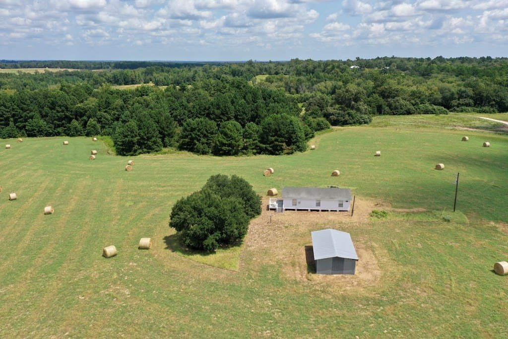 30.91 acres in LEON County gallery image 4