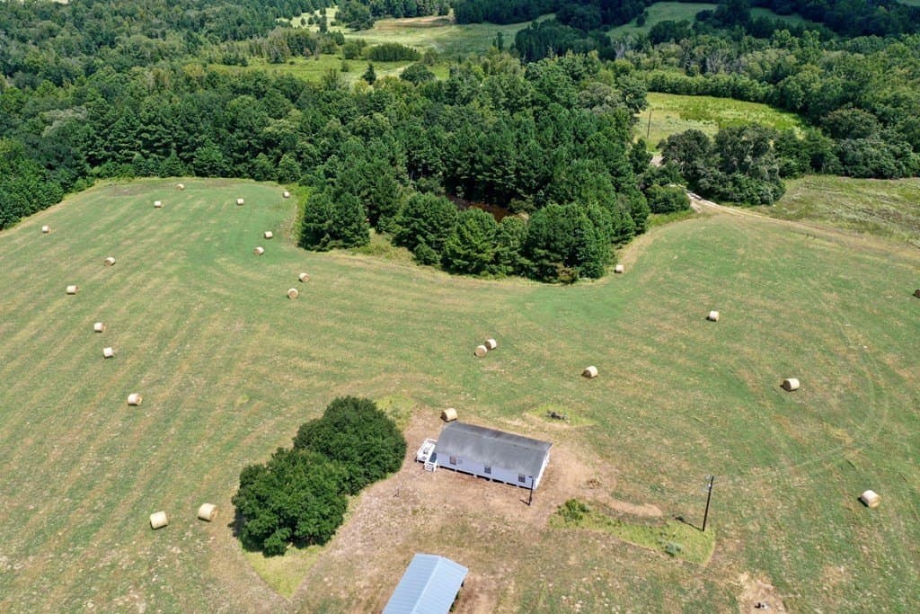 30.91 acres in LEON County gallery image 3