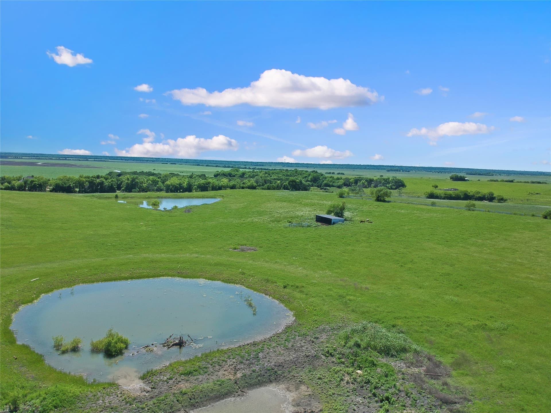 29 acres in Kaufman County gallery image 4