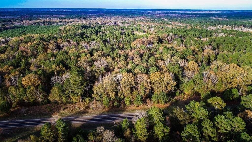 5 acres in Marion County gallery image 3