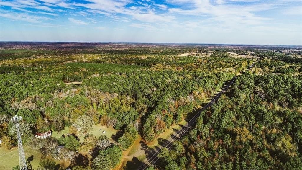 5 acres in Marion County gallery image 2
