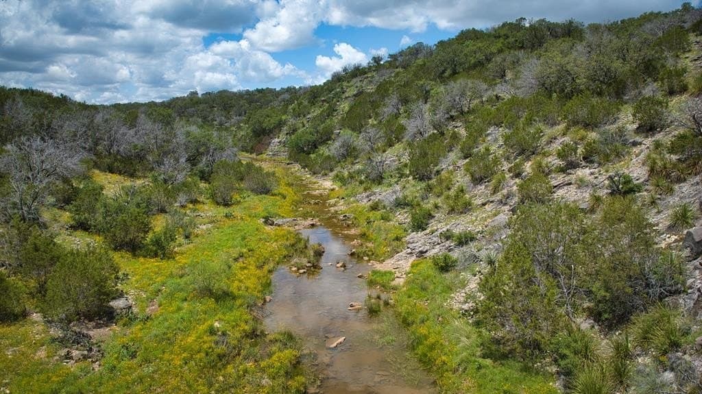 541.04 acres in Mason County - photo 16