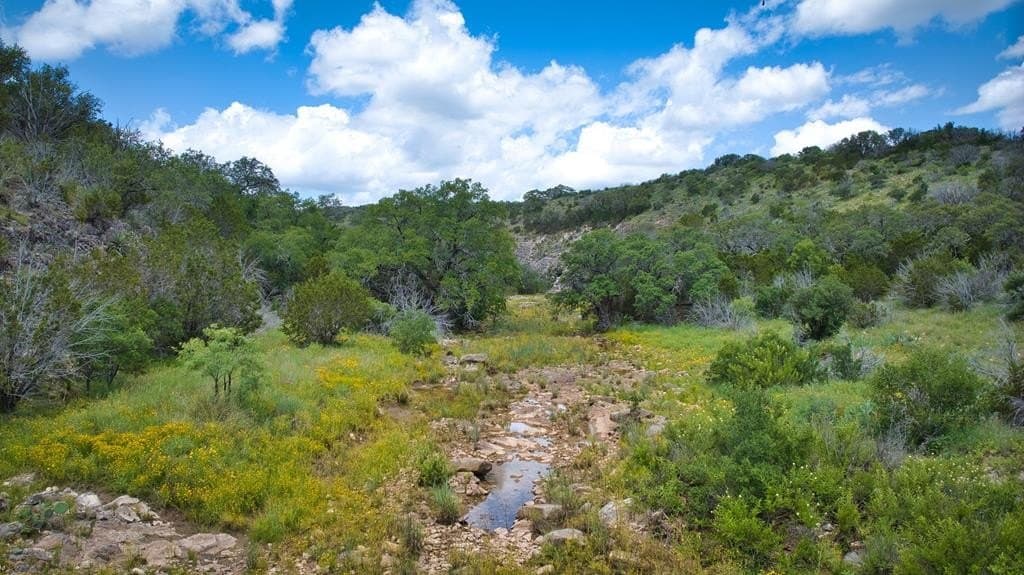 541.04 acres in Mason County - photo 48