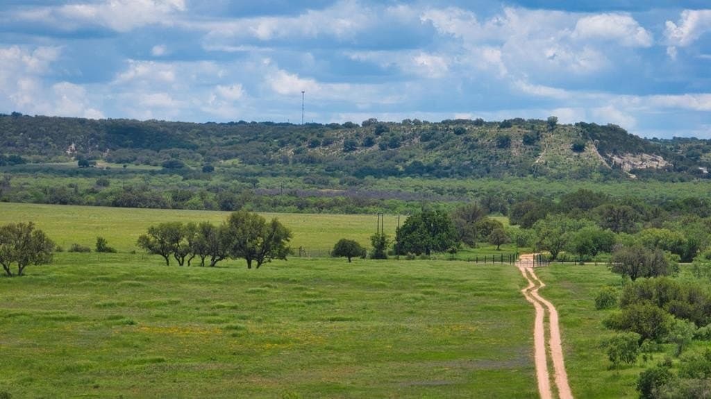 541.04 acres in Mason County - photo 14