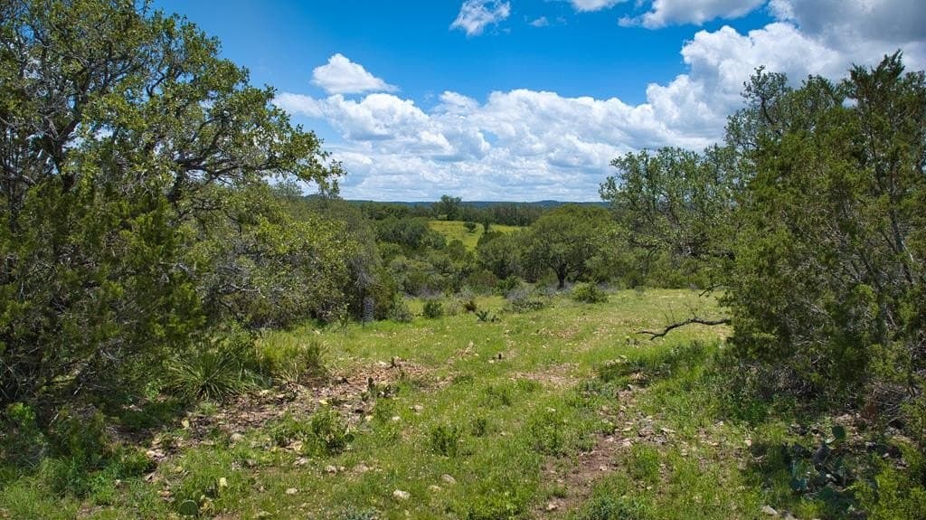 541.04 acres in Mason County - photo 58