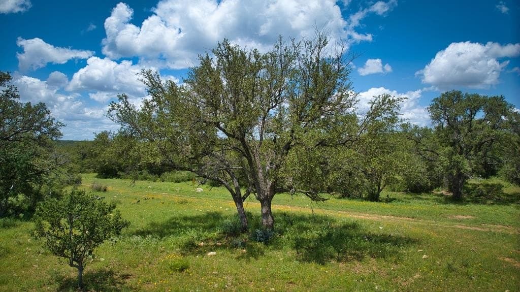 541.04 acres in Mason County - photo 61