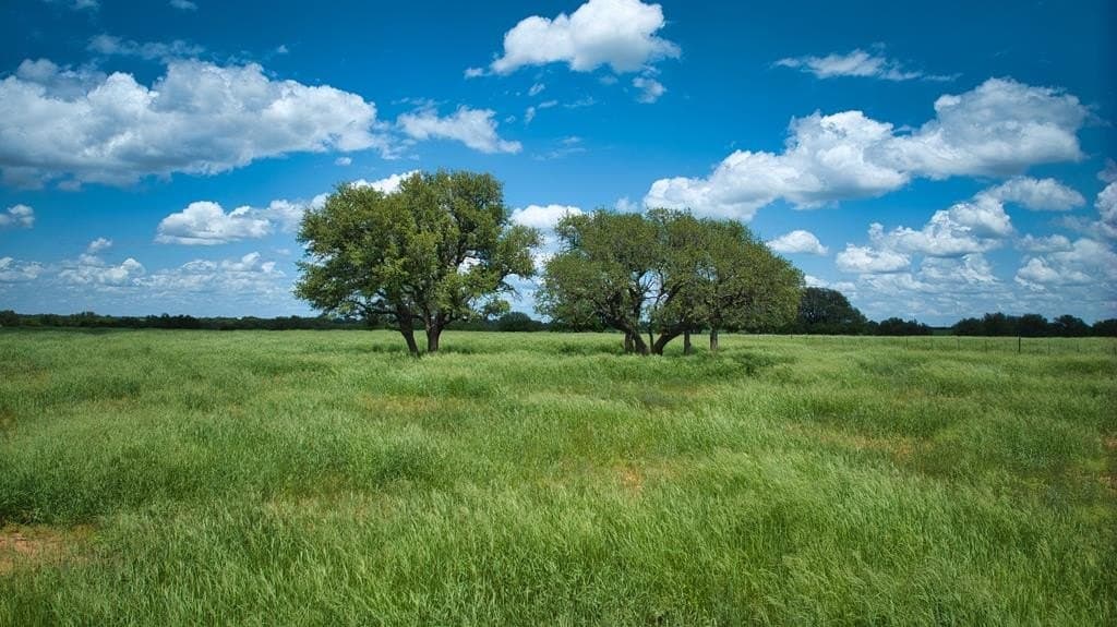 541.04 acres in Mason County - photo 63