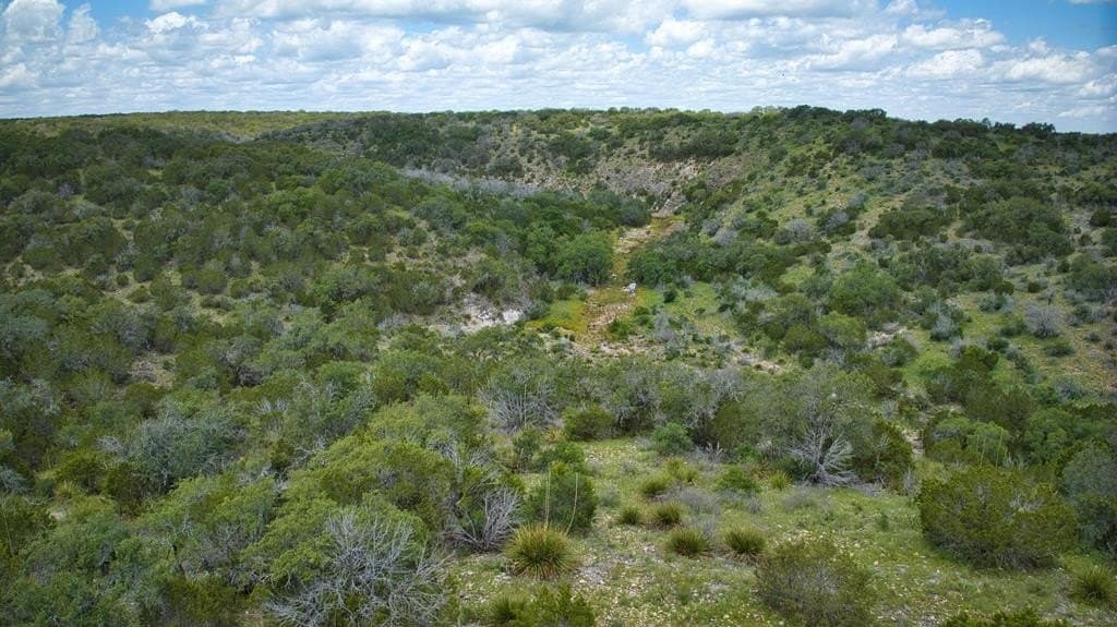 541.04 acres in Mason County - photo 46