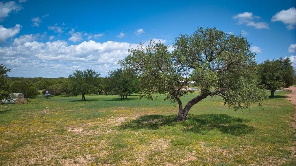 541.04 acres in Mason County - photo 40