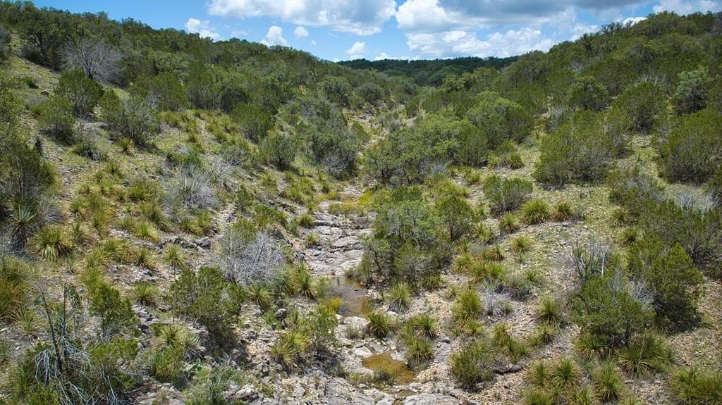 541.04 acres in Mason County - photo 55