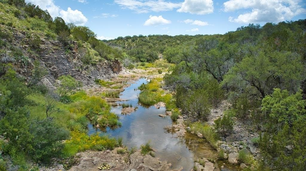 541.04 acres in Mason County - photo 51