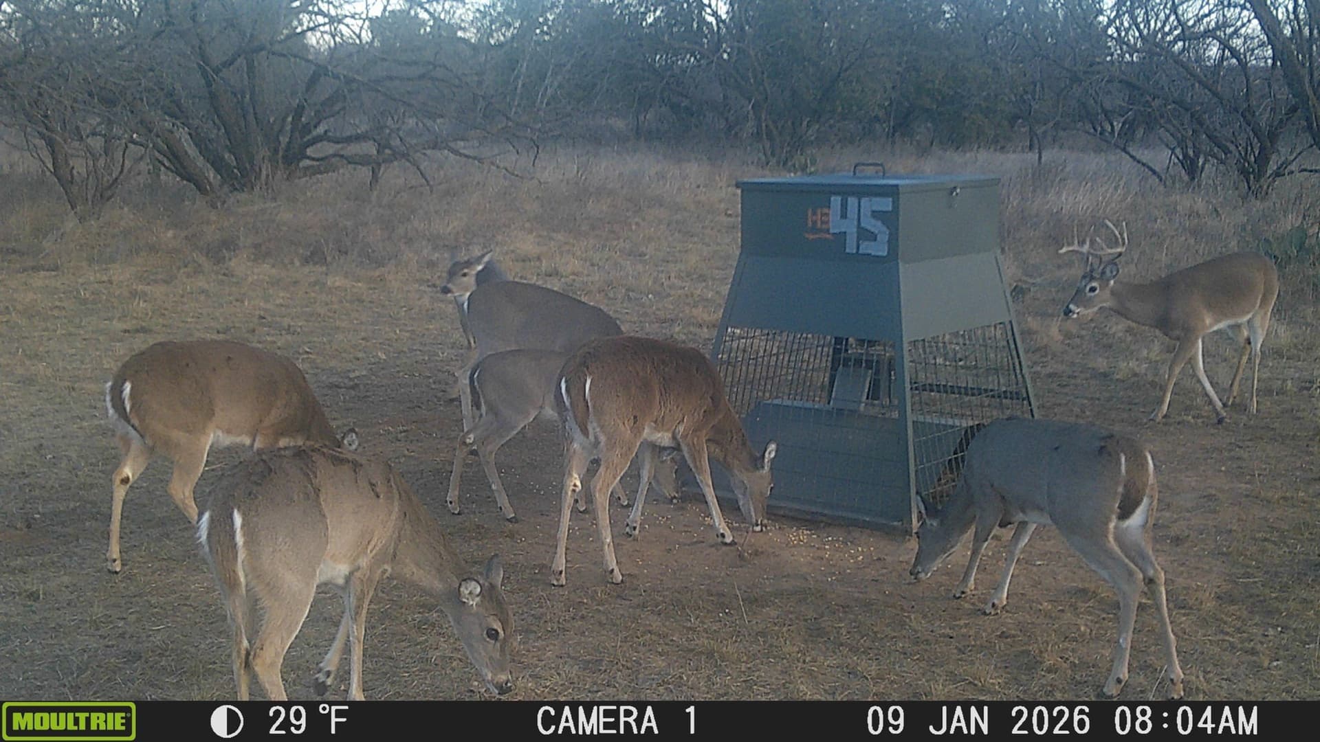 39.53 acres in Stephens County - photo 11