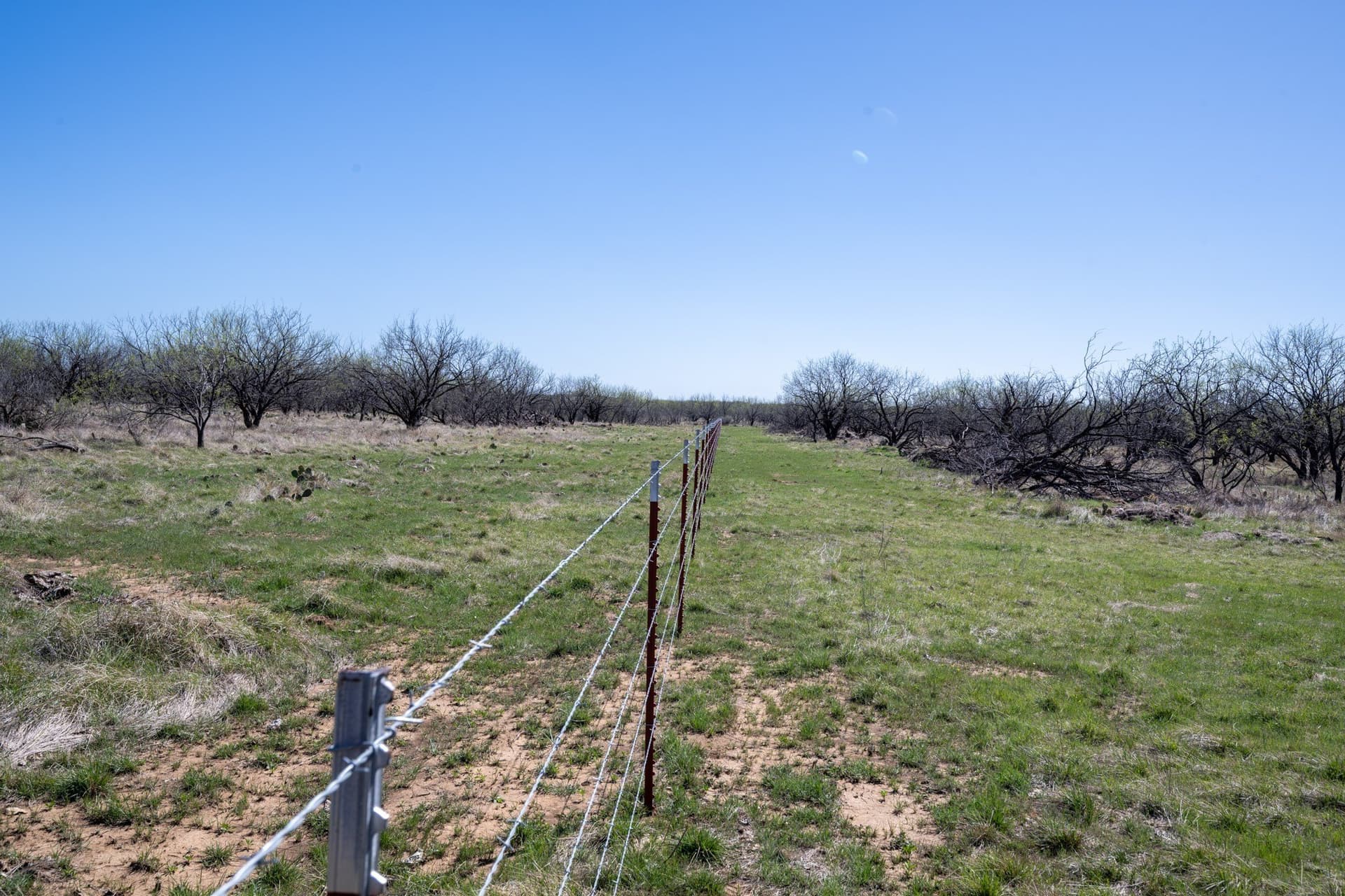 39.53 acres in Stephens County - photo 37