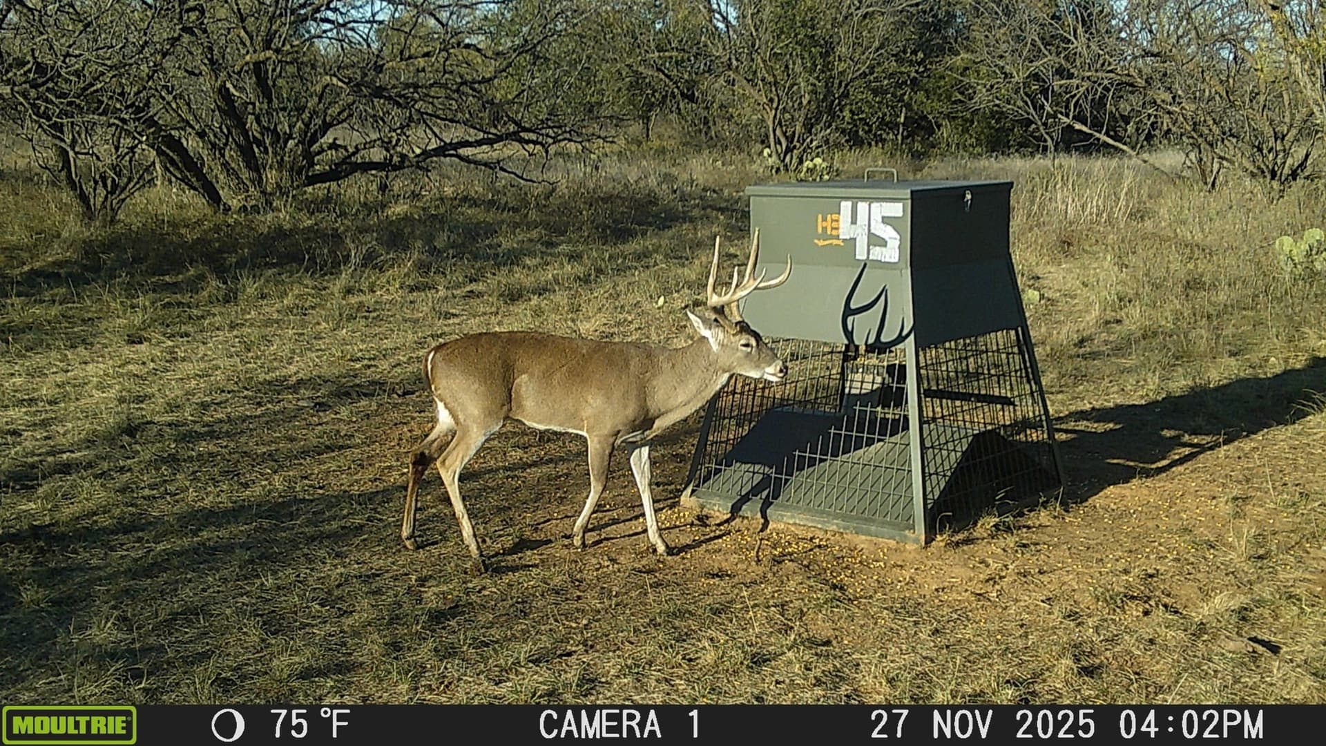 39.53 acres in Stephens County - photo 7