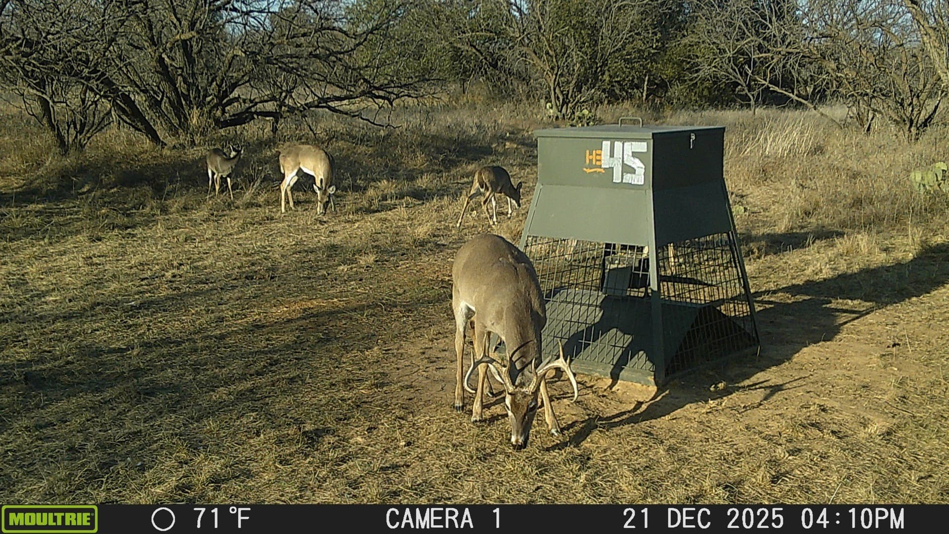 39.53 acres in Stephens County - photo 14