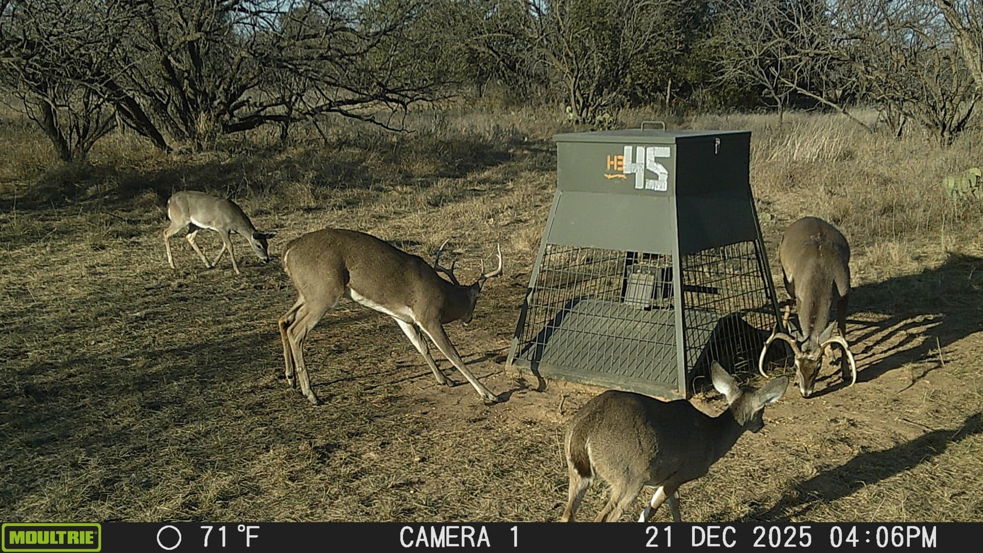 39.53 acres in Stephens County - photo 9