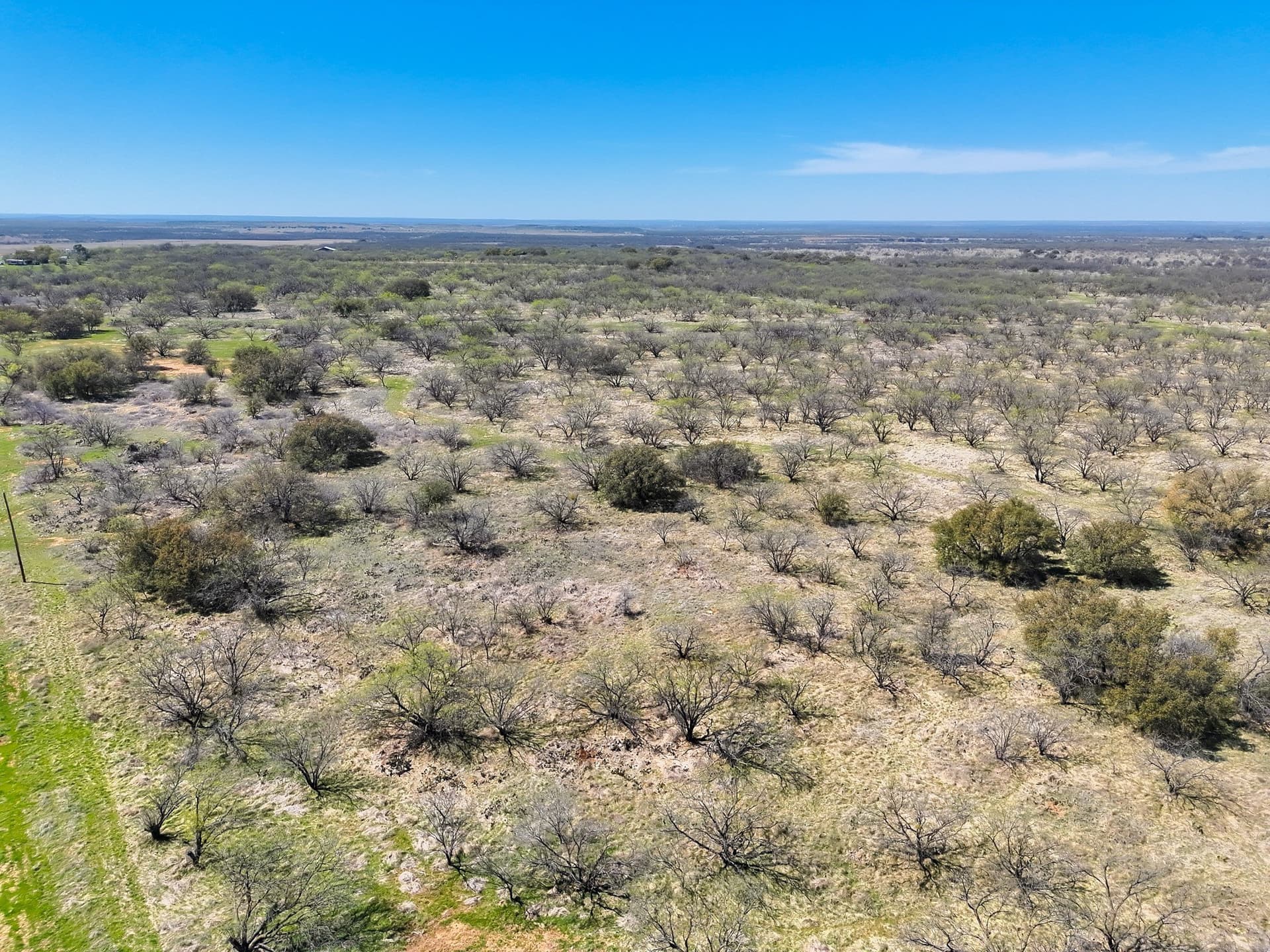 39.53 acres in Stephens County - photo 23