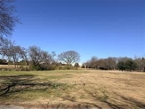 0.98 acres in Dallas County - photo 6