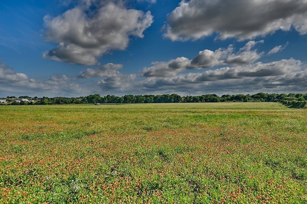 60 acres in Washington County - photo 7