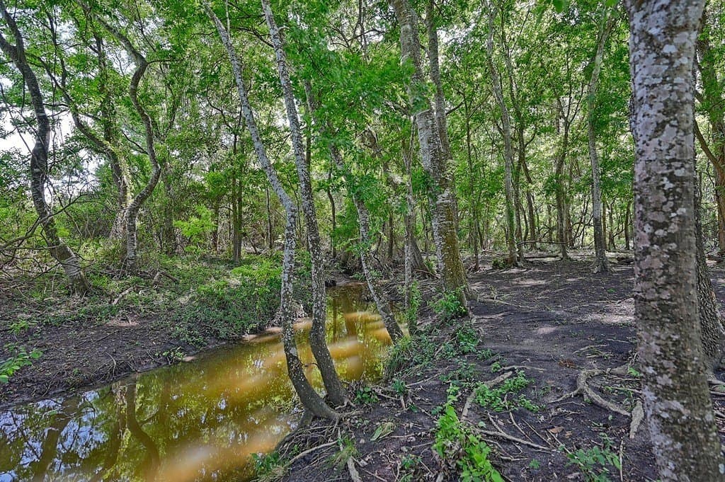 60 acres in Washington County - photo 13